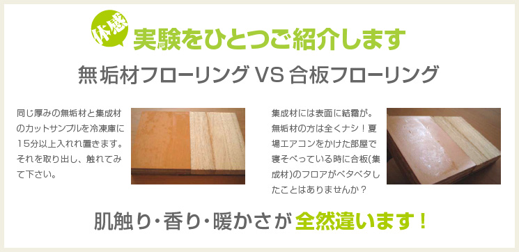 実験をひとつご紹介します